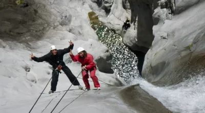 CanyonFleurJaune - 2.webp